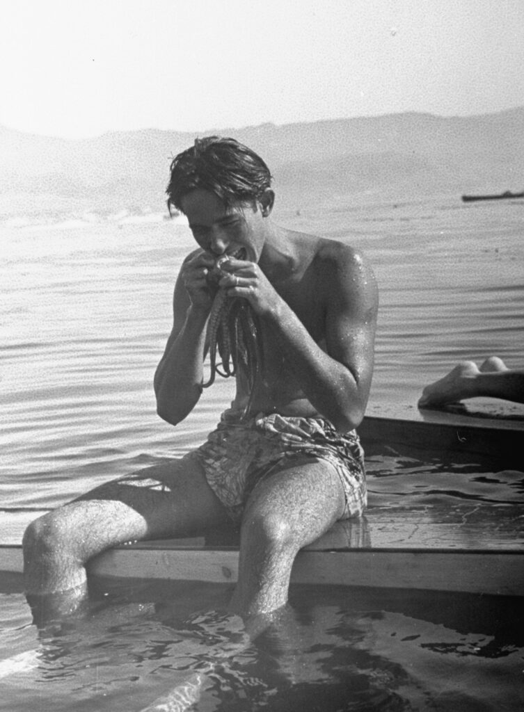 A member of the lifeguard party killed a recently-caught octopus by biting its head, Santa Monica, California, 1940.